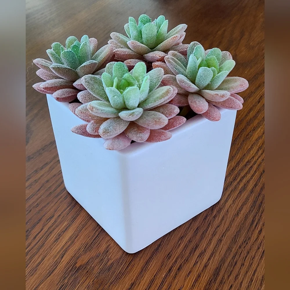 Mainstays Pink and Green Faux Succulent Cube Planter